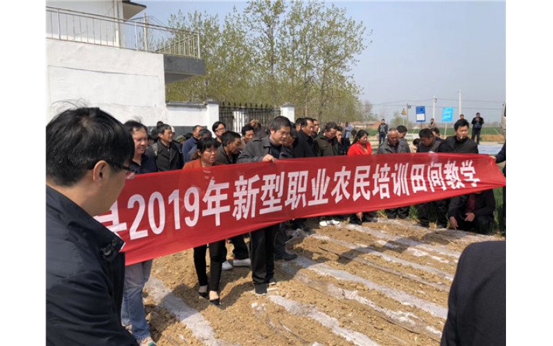 山東臨沭東泰機(jī)械助力江蘇省泗洪縣2019年花生產(chǎn)業(yè)發(fā)展！